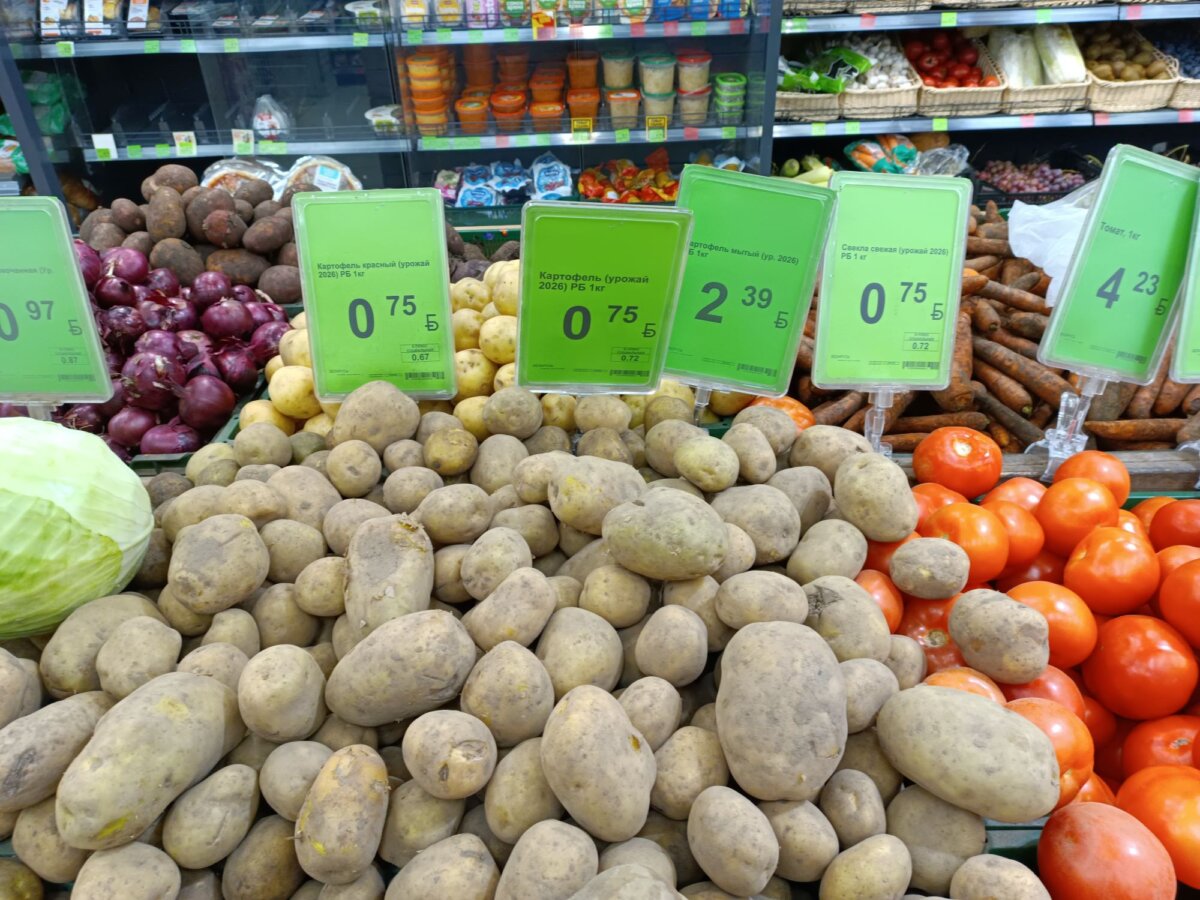 Дзе купіць бульбу ў Асіповічах: цэны, гатункі і парады землякоў