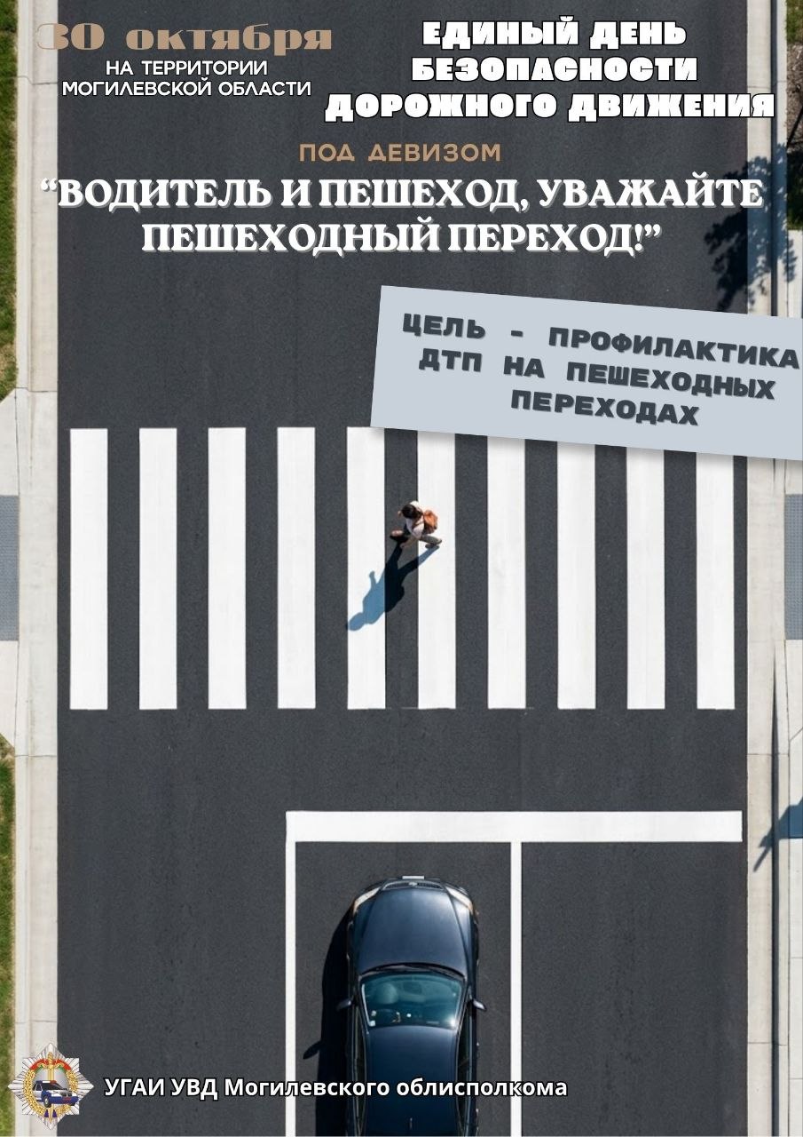 Единый день безопасности дорожного движения