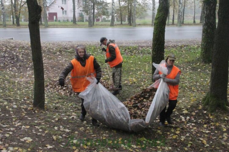 На Асіповіччыне наступны тыдзень прысвяцяць навядзенню парадку